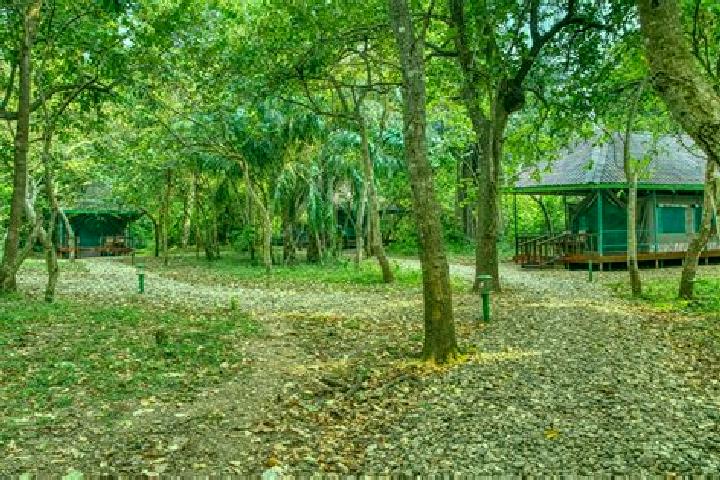 Iris, 35 — Escort in Gombe, Uganda