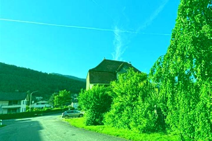 Iris, 35 — Escort in Herbetswil, Switzerland