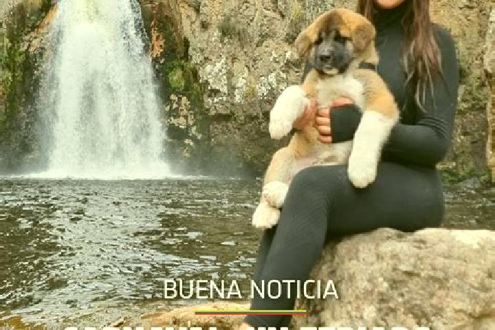 Iris, 35 — Escort in Joseguango Bajo, Ecuador