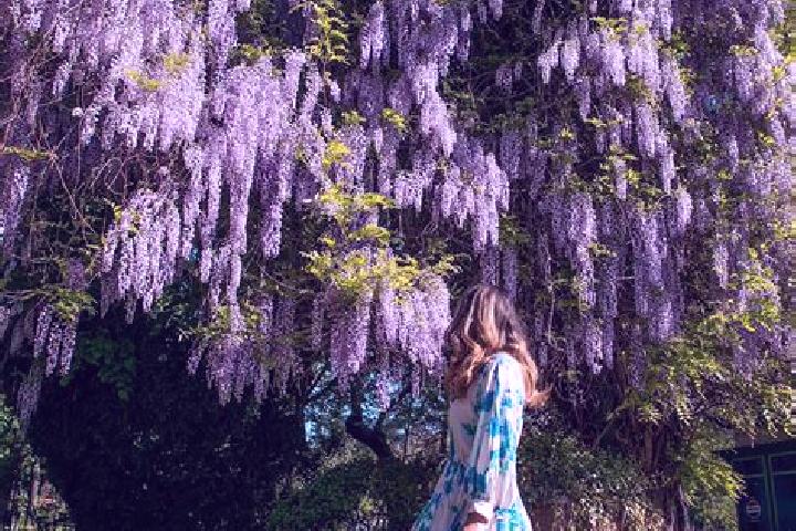 Iris, 35 — Escort in Schitu Poienari, Romania