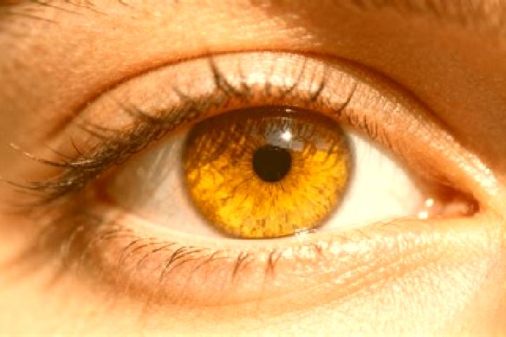 Iris, 36, a dark blonde amber-eyed caucasian companion based in Huehuetecpan. Offering Overnight, CIM, OWO. Available for incall and outcall, overnight booki...