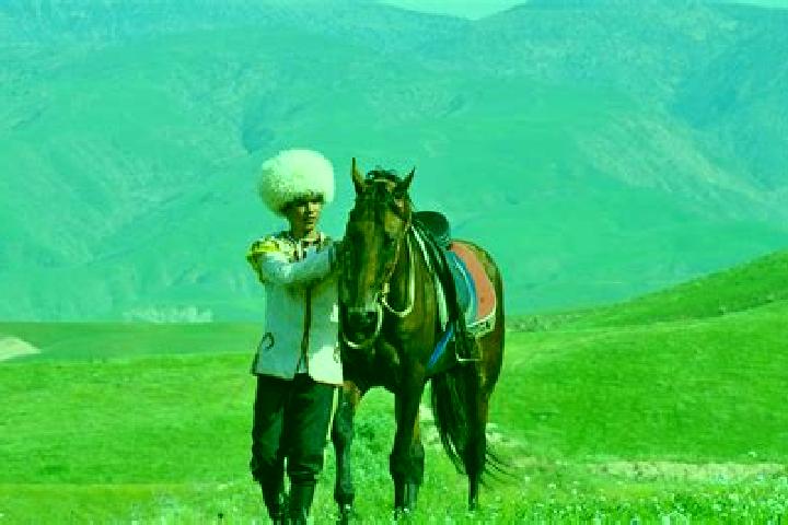 Iris, 36 — Escort in Arcabil, Turkmenistan