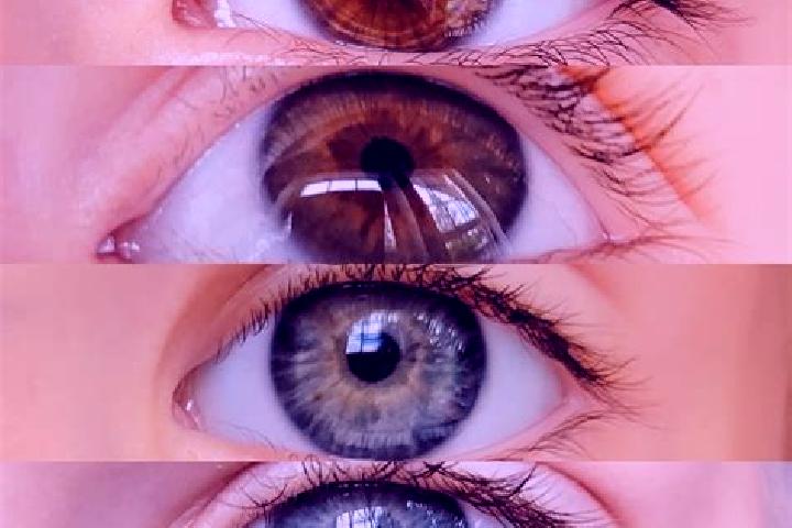 Iris, 37, a chestnut grey-eyed middle eastern companion based in Hollabrunn. Offering Tantra, Party Girl, Travel Companion. Available for incall and outcall,...