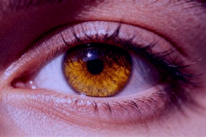 Iris, 37, a dark blonde amber-eyed mixed companion based in Brittoli. Offering A-Level, CIM, Overnight. Available for incall and outcall, overnight bookings ...