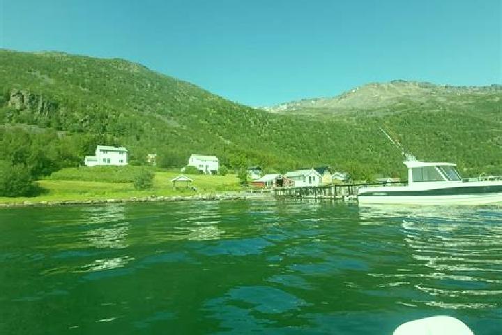 Iris, 37 — Escort in Burfjord, Norway