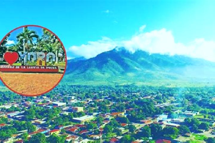 Iris, 37 — Escort in Chalmeca, Honduras