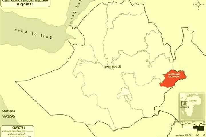 Iris, 37 — Escort in Gambela, Ethiopia