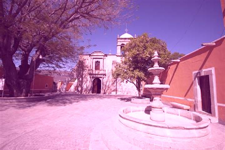 Iris, 37 — Escort in Mezquitic, Mexico