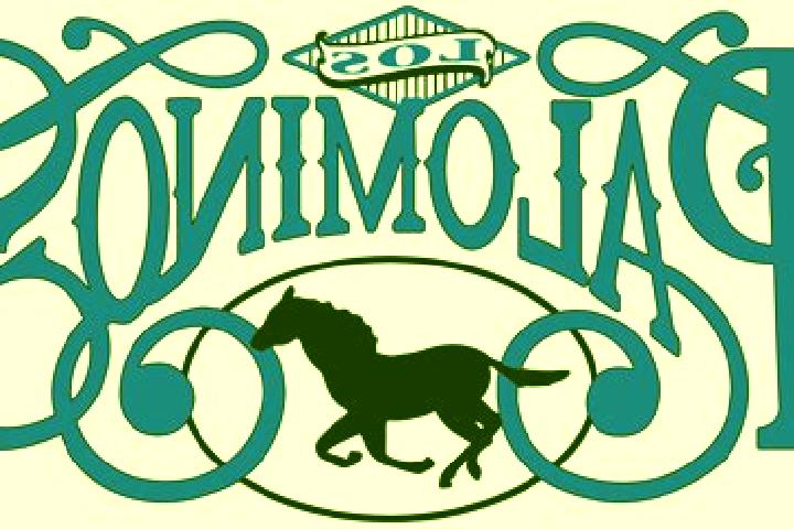 Iris, 37 — Escort in San Isidro de los Palominos, Mexico