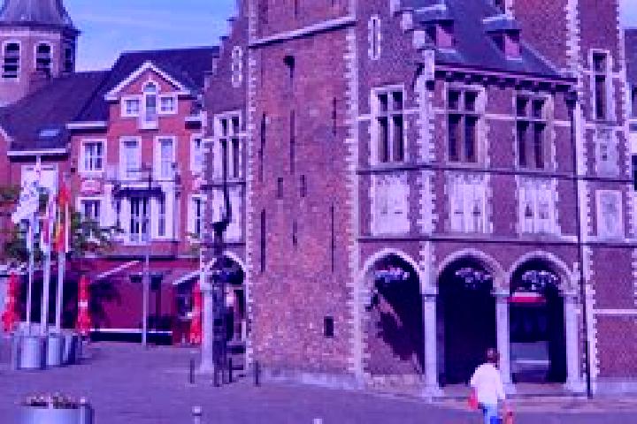 Iris, 37 — Escort in Tielt, Belgium
