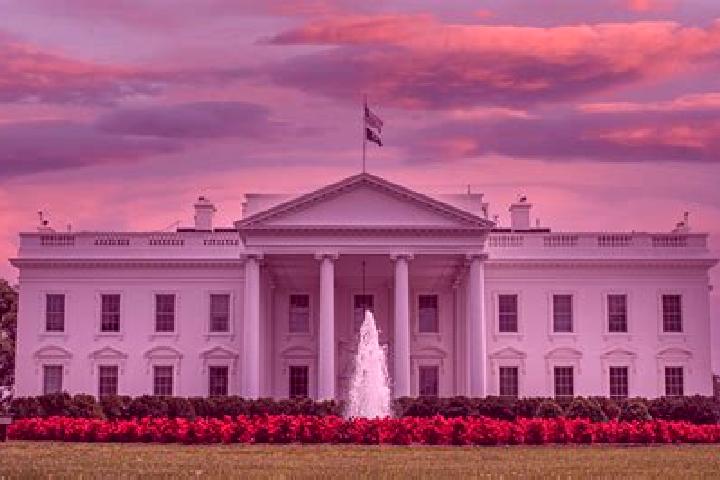 Iris, 37 — Escort in White House, United States