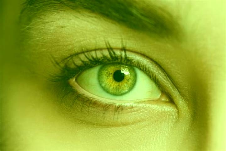 Iris, 38, a chestnut hazel-eyed mixed companion based in Teterow. Offering Dinner Date, CIM, Travel Companion. Available for incall and outcall, day and even...