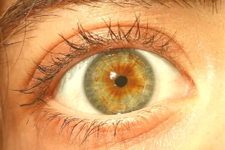 Iris, 38, a red hazel-eyed caribbean companion based in Cynthiana. Offering CIM, Domination, Couples, Fetish. Available for incall and outcall, day and eveni...