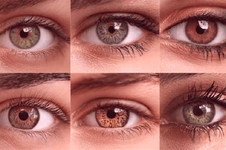 Iris, 38, a red hazel-eyed middle eastern companion based in Mayville. Offering Roleplay, GFE, Deep French Kissing, Dinner Date. Available for incall and out...