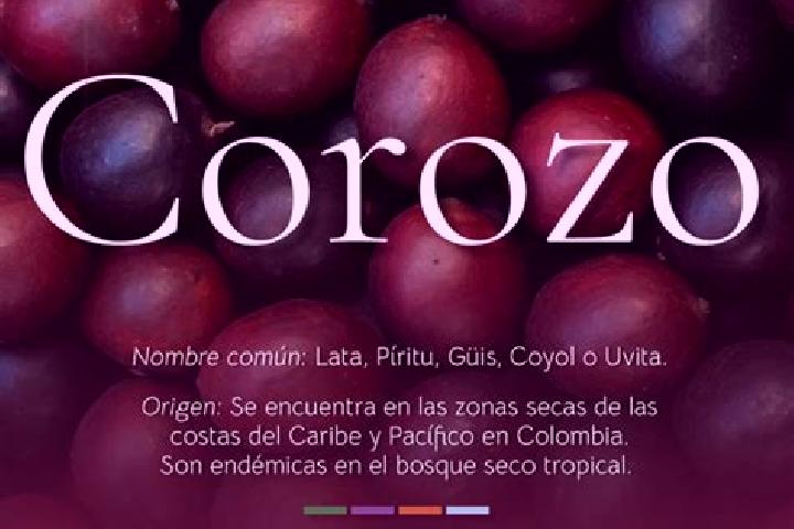 Iris, 38 — Escort in El Corozo, Venezuela
