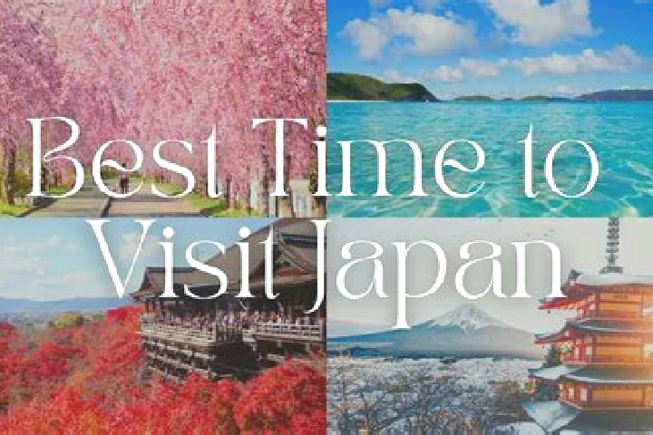 Iris, 38 — Escort in Hanawa, Japan