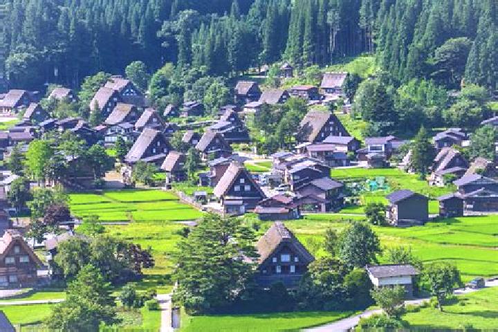 Iris, 38 — Escort in Hirakawa, Japan
