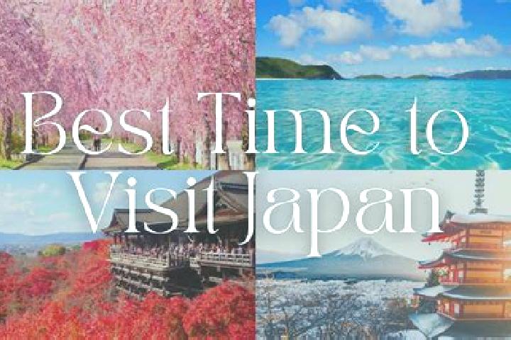 Iris, 38 — Escort in Kan onjicho, Japan