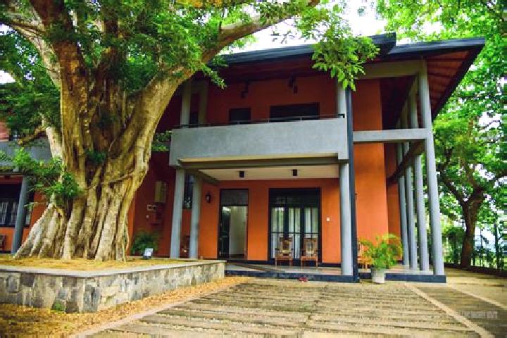 Iris, 38 — Escort in Kataragama, Sri Lanka