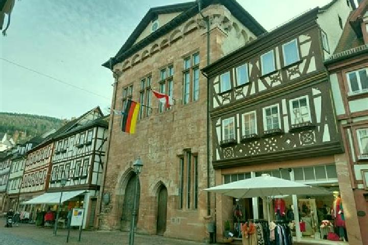 Iris, 38 — Escort in Miltenberg, Germany