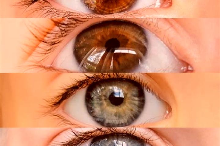 Iris, 39, a chestnut green-eyed mixed companion based in Cegled. Offering Deep French Kissing, BDSM, OWO, Girlfriend Experience. Available for incall and out...
