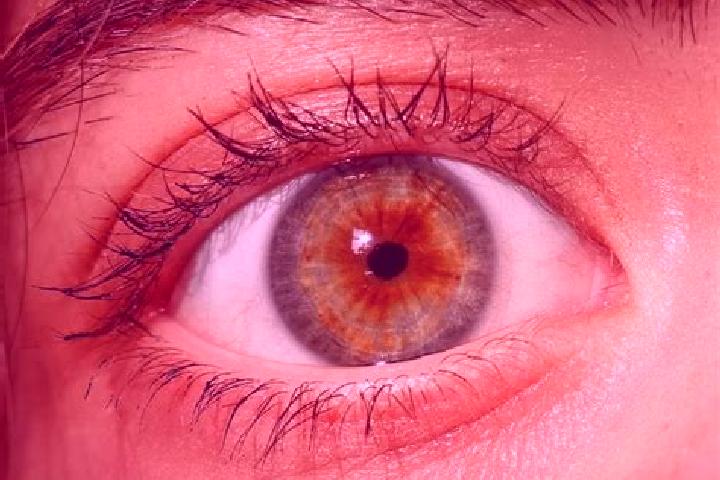 Iris, 39, a red hazel-eyed mediterranean companion based in Padre Burgos. Offering Girlfriend Experience, OWO, Travel Companion. Available for incall and out...