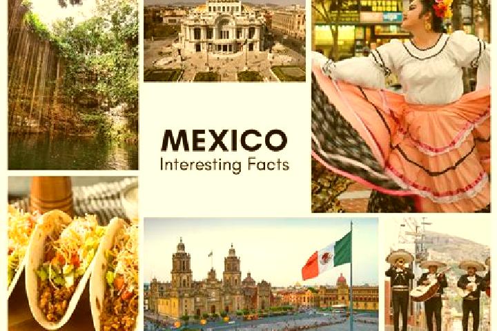 Iris, 39 — Escort in Dautillos, Mexico