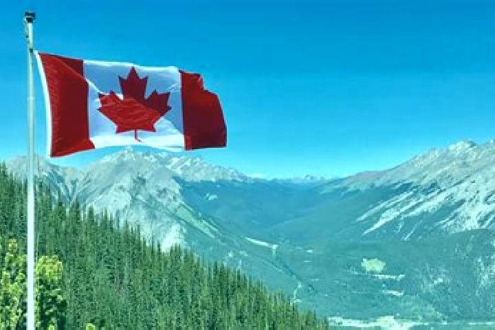 Iris, 39 — Escort in King, Canada