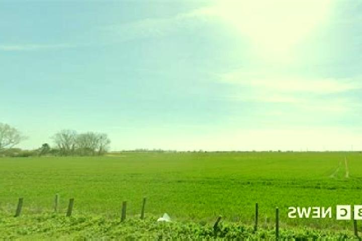 Iris, 39 — Escort in Romney Marsh, United Kingdom