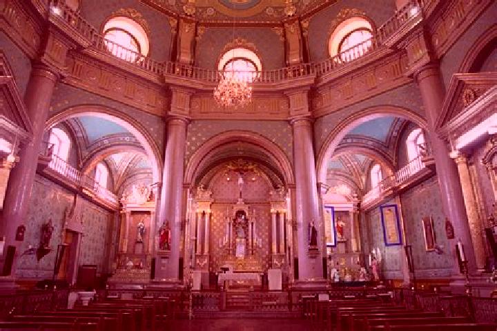 Iris, 39 — Escort in San Sebastian del Salitre, Mexico