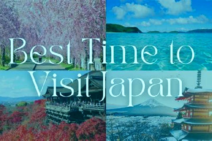 Iris, 39 — Escort in Takabo, Japan