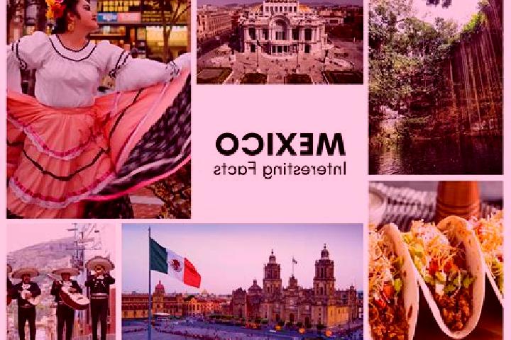 Iris, 39 — Escort in Tequimila, Mexico