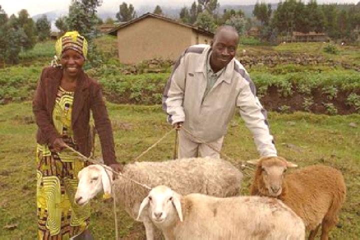 Iris, 39 — Escort in Timau, Kenya