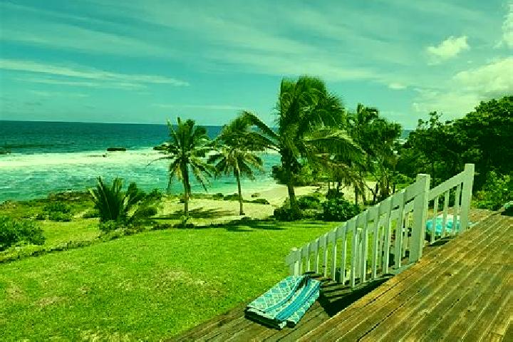 Iris, 39 — Escort in Vaini, Tonga