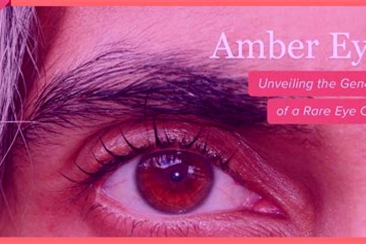 Isabella, 20, a red amber-eyed caucasian companion based in Tewksbury. Offering BDSM, Duos, Massage. Available for incall and outcall, overnight bookings ava...