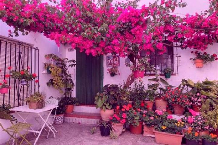 Isabella, 20 — Escort in Bugambilias (La Cruz), Mexico
