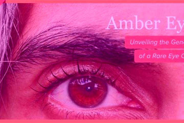 Isabella, 21, a red amber-eyed mixed companion based in Werfenweng. Offering Girlfriend Experience, Prostate Massage, Domination, Fetish. Available for incal...