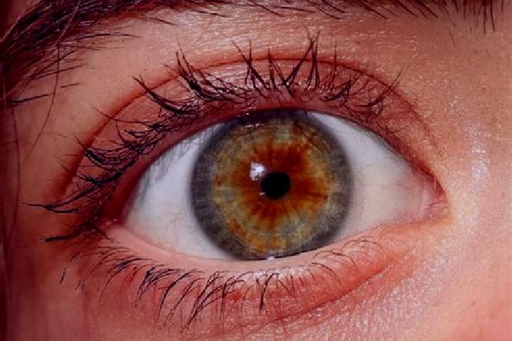 Isabella, 21, a red hazel-eyed mediterranean companion based in Laussig. Offering OWO, Striptease, Tantra. Available for incall and outcall, overnight bookin...