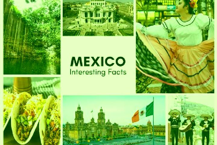 Isabella, 21 — Escort in Tlamacazapa, Mexico
