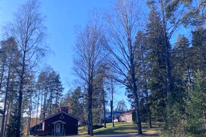 Isabella, 22 — Escort in Sulkava, Finland