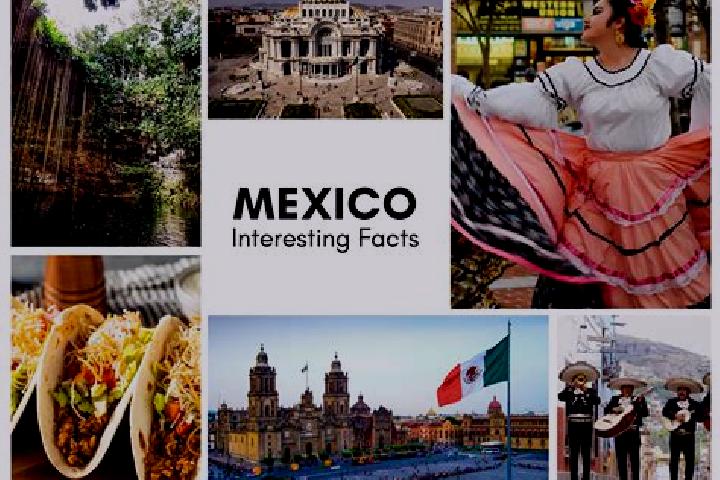 Isabella, 23 — Escort in La Tijera, Mexico