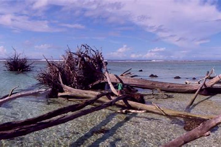 Isabella, 23 — Escort in Mataniko, Solomon Islands