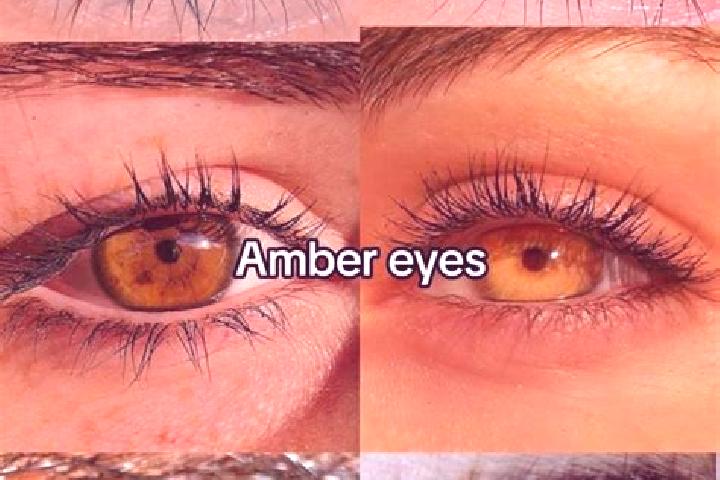 Isabella, 24, a brunette amber-eyed mixed companion based in Silver Heights. Offering 69, CIM, Duos. Available for incall and outcall, overnight bookings ava...