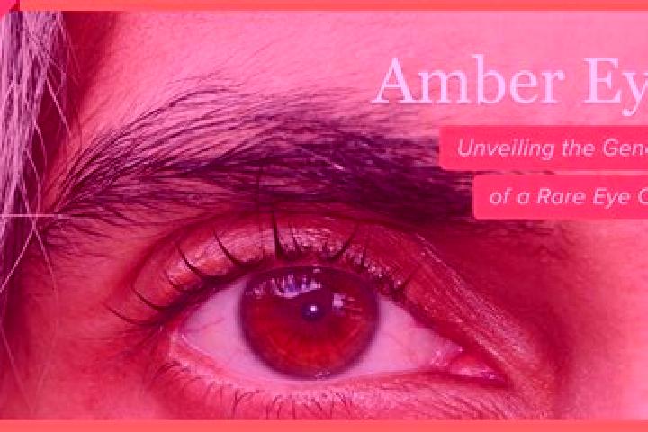 Isabella, 24, a red amber-eyed european companion based in Morgan. Offering GFE, Deep French Kissing, Fetish, Striptease. Available for incall and outcall, d...
