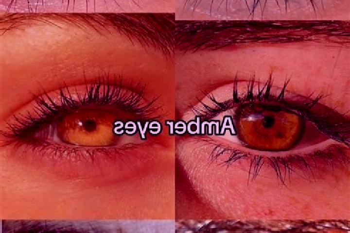 Isabella, 25, a chestnut amber-eyed slavic companion based in Mao. Offering CIM, GFE, Overnight, OWO. Available for incall and outcall, day and evening dates.