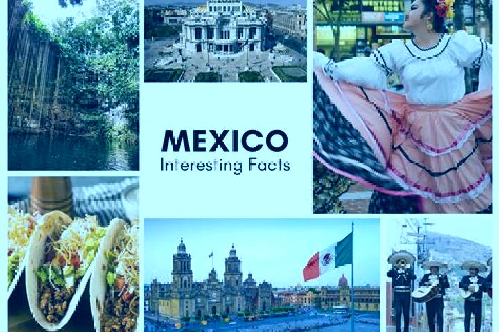 Isabella, 25 — Escort in Acteopan, Mexico