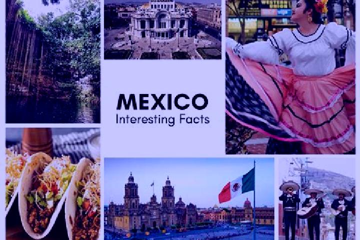 Isabella, 25 — Escort in Cerro Moneda, Mexico