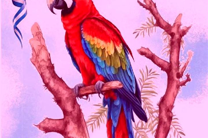 Isabella, 25 — Escort in La Guacamaya, Honduras
