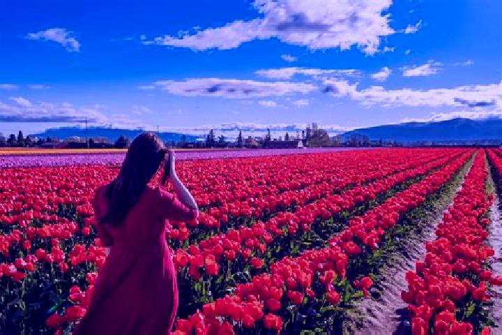 Isabella, 25 — Escort in Vernon Valley, United States