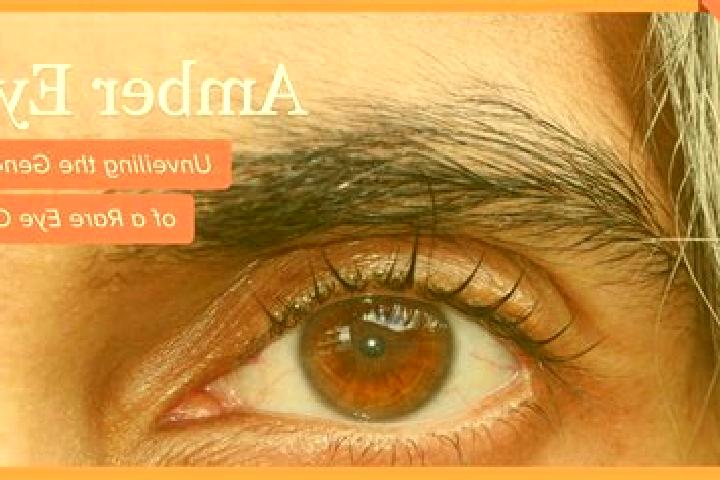 Isabella, 26, a red amber-eyed middle eastern companion based in Giri. Offering Duos, Girlfriend Experience, Domination. Available for incall and outcall, da...
